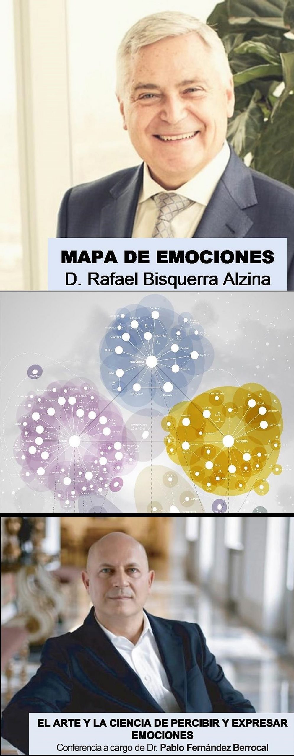 CONFERENCIAS INTELIGENCIA EMOCIONAL: Mapa de emociones y psicología positiva