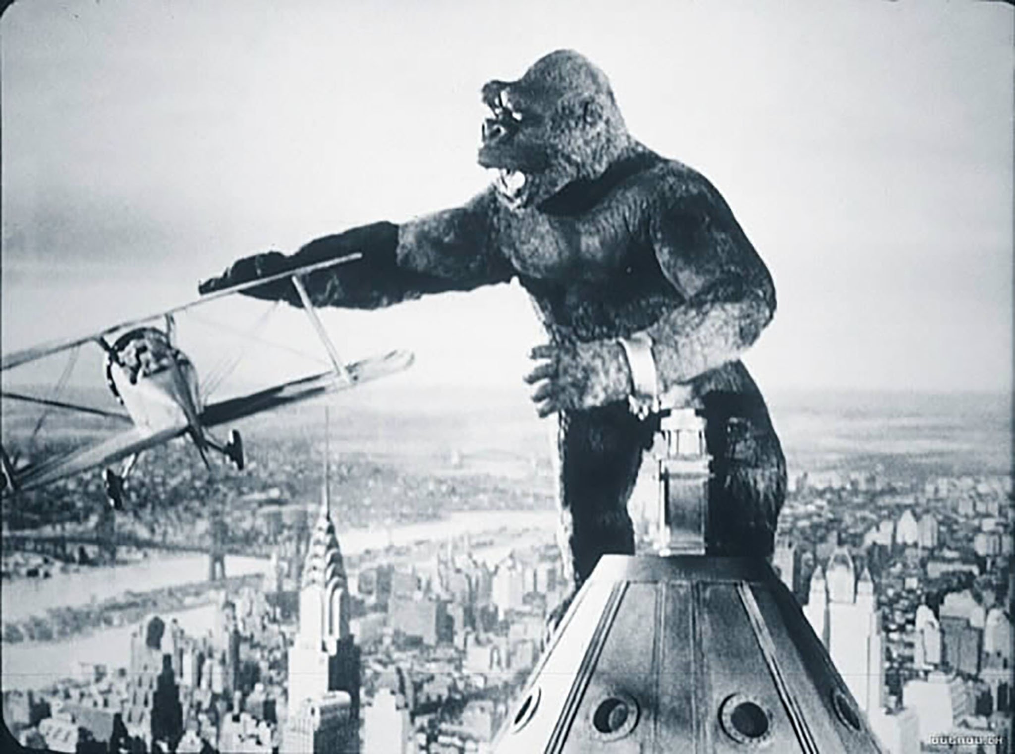 king kong Asun Utande web